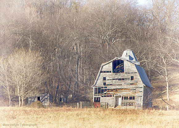 Broken White Barn