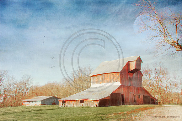 Gibson County Red